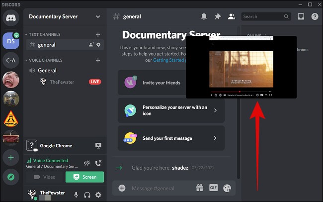 netflix 画面共有 discord