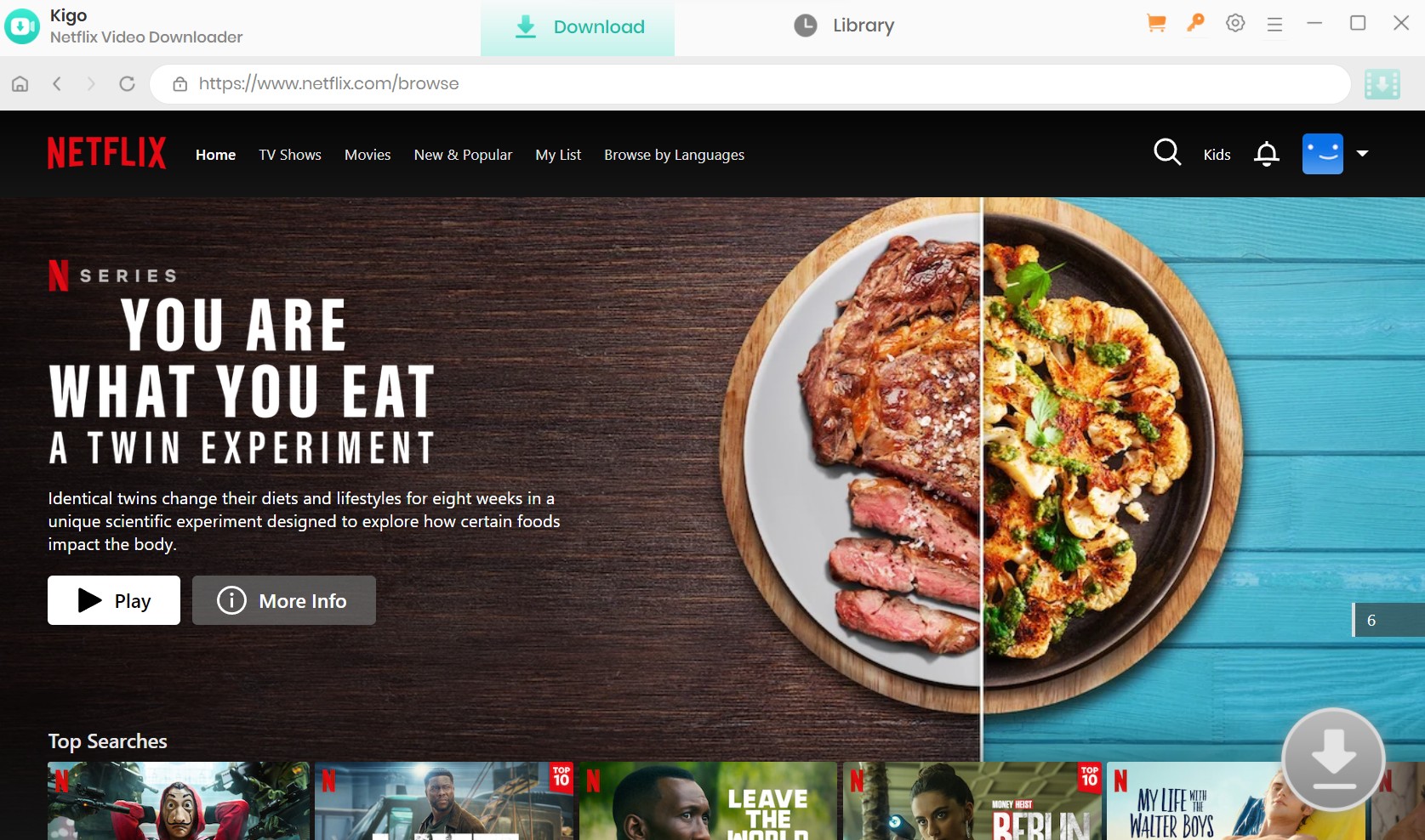 Best Netflix Video Downloader review: Kigo Netflix Video Downloader