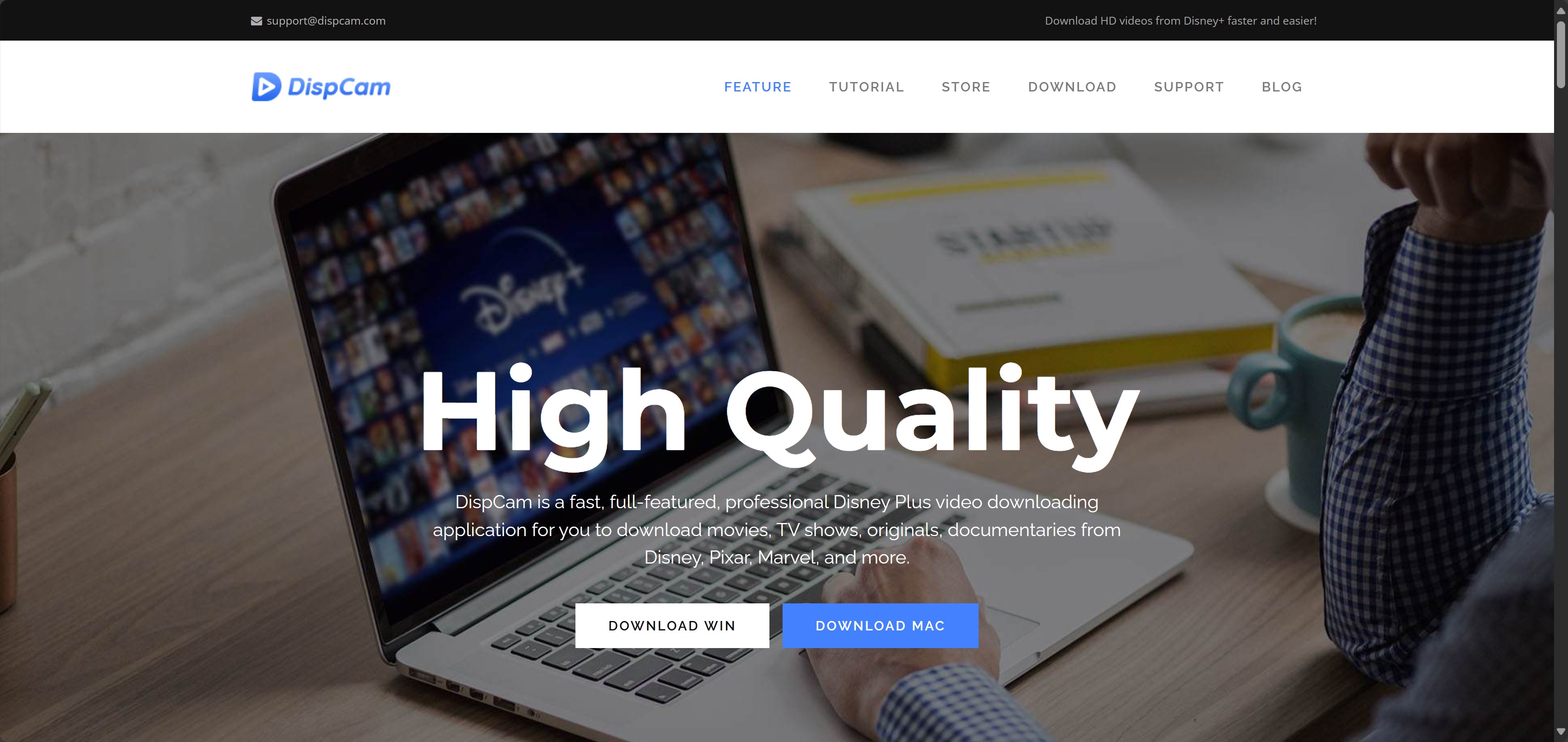 DispCam review: overview