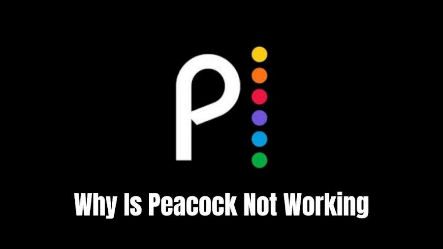 peacock not working:Introduction