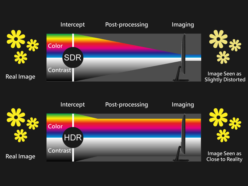 Quick Ways to Convert HDR to SDR [Includes Best AI Tool]