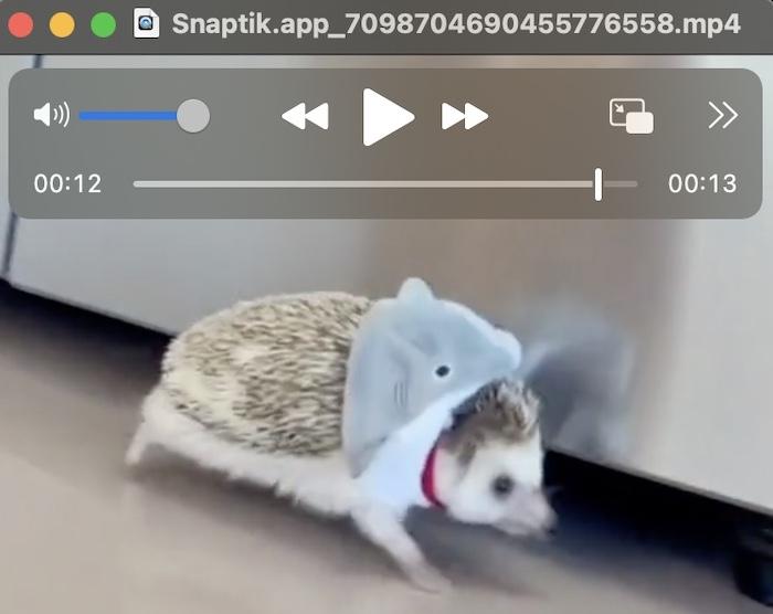 tiktok 保存