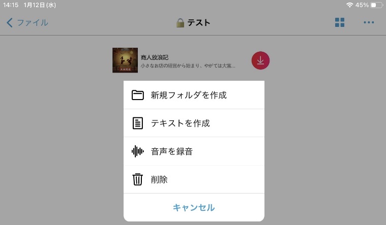 iSafePlay