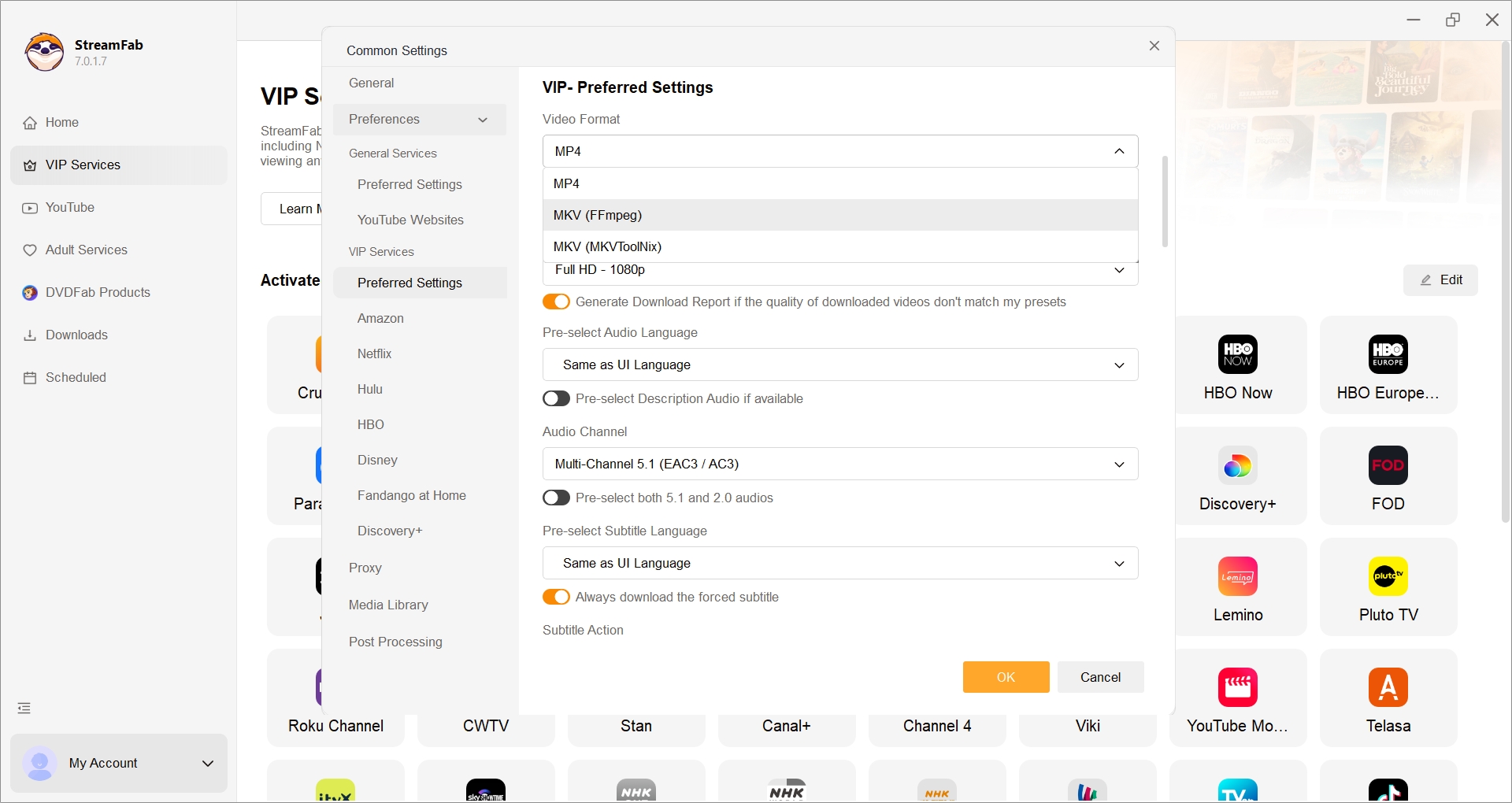 StreamFab Download-Einstellungen mit MKV als Ausgabeformat