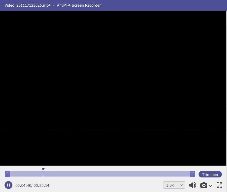 Schwarzer Bildschirm