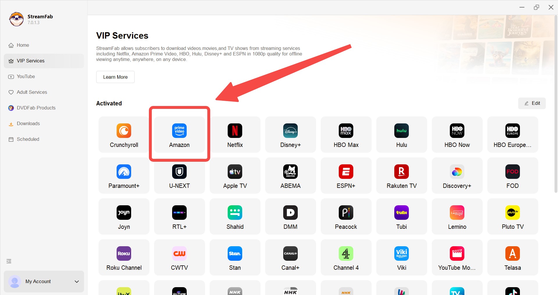 how to download prime video titles to sd card with streamfab:step 2