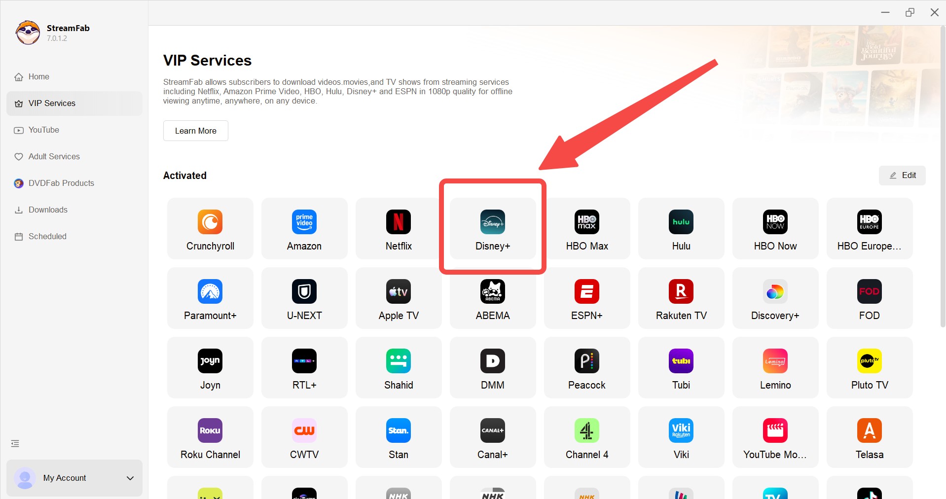 DispCam review: how to use StreamFab