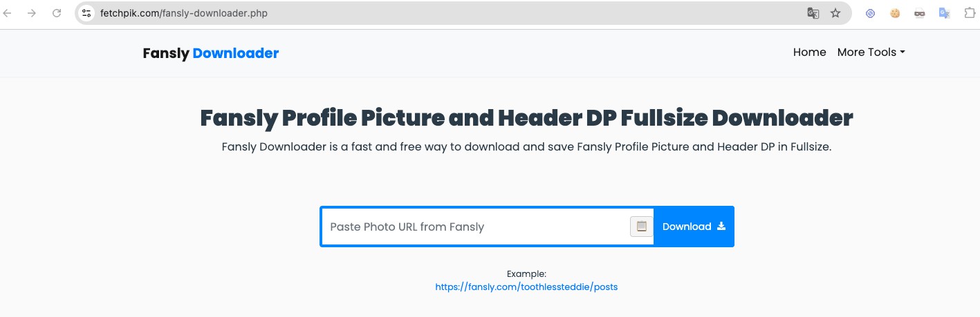 online fansly downloader