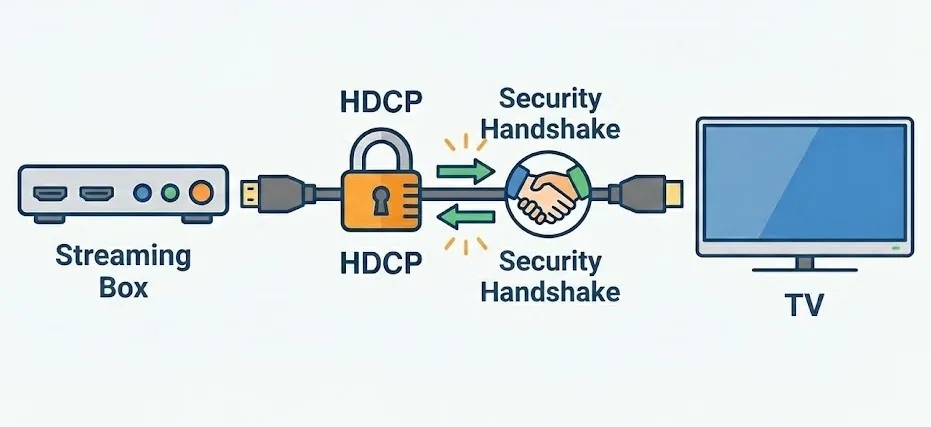 The “Handshake” and the “Chain”