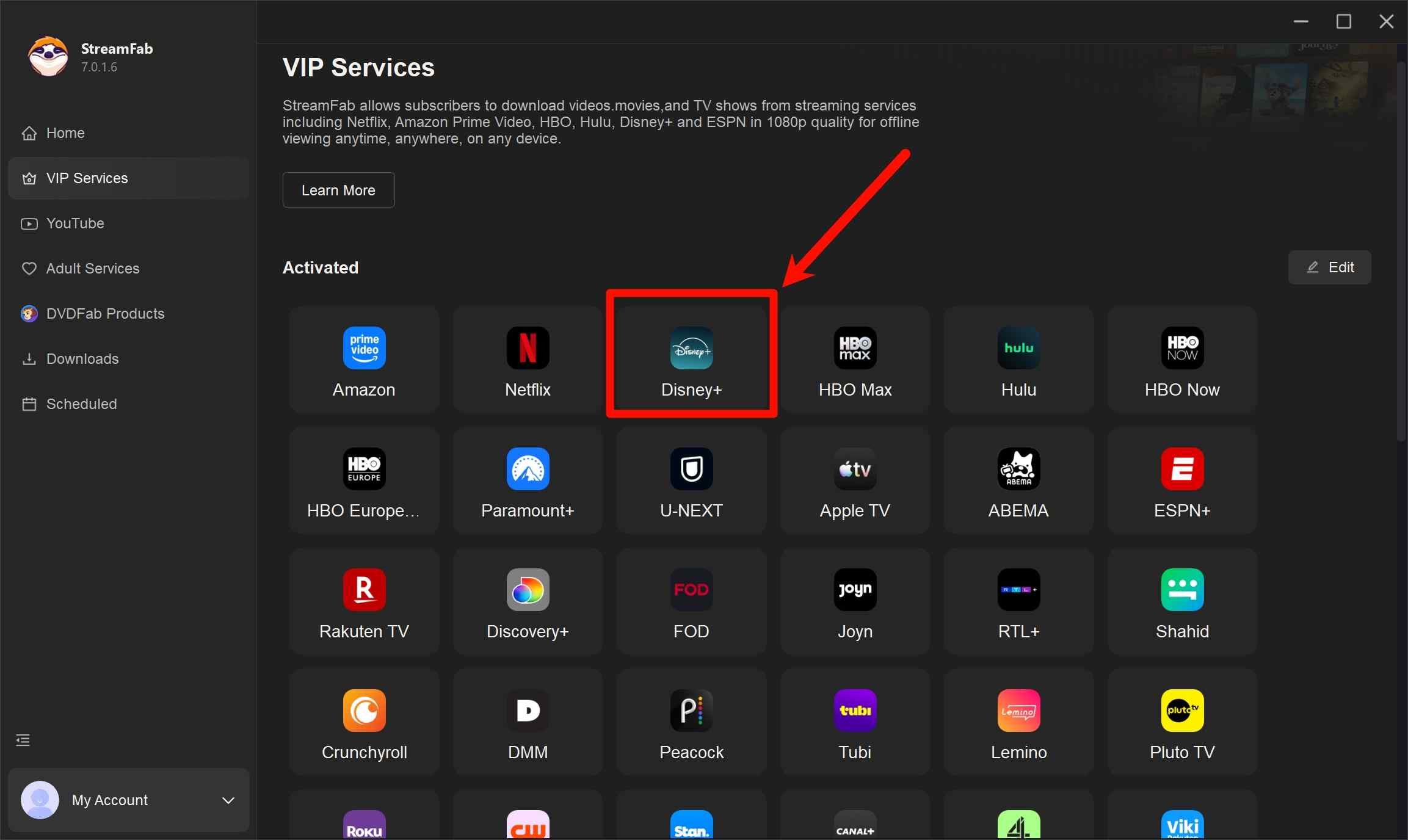 rip movies from disney plus: step 1