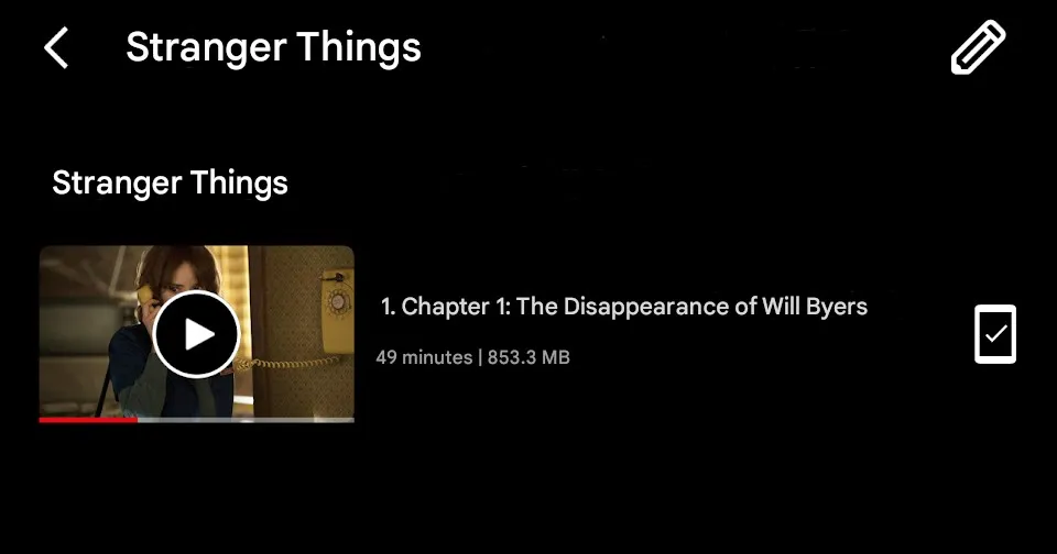 netflix-download-limit: downloaded file size