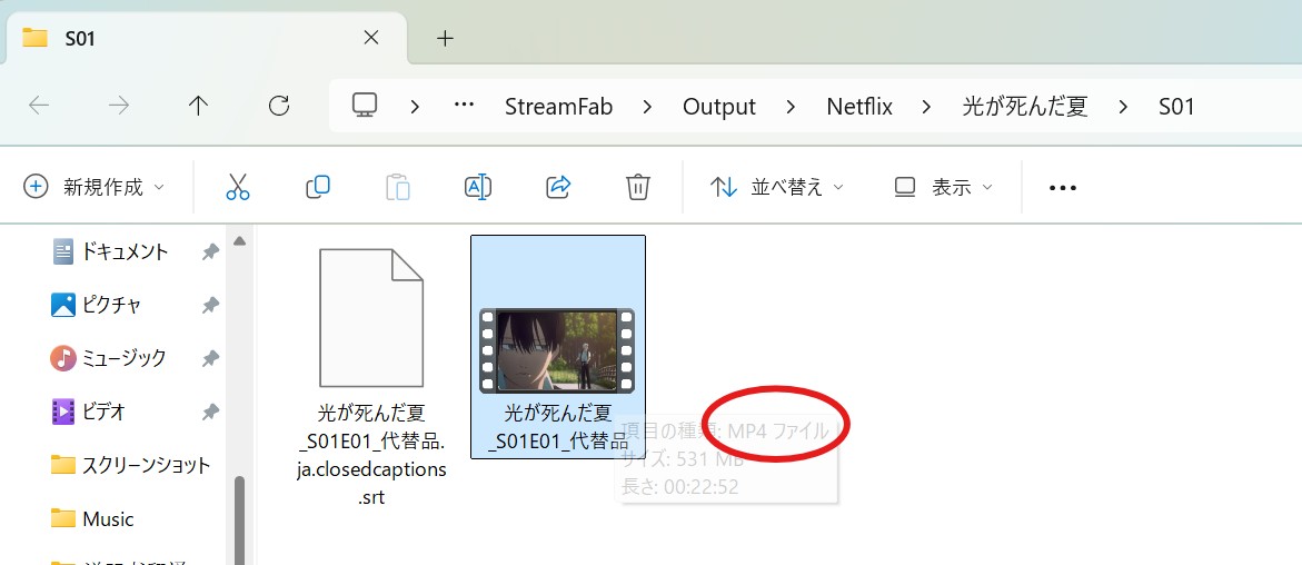 Streamfab Netflix 下載器的評價