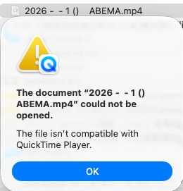 Video Downloader Professional 