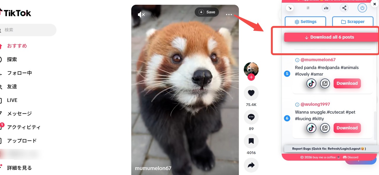 Easy TikTok Video Downloader