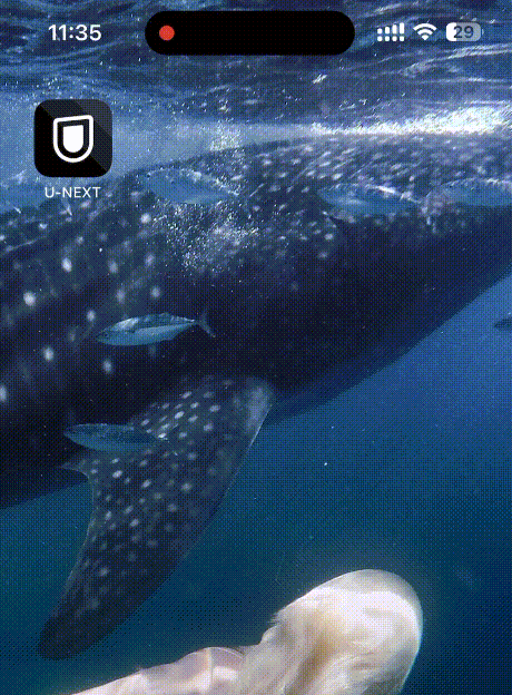 iPhoneの画面収録機能でU-NEXTを録画した際の黒画面エラー